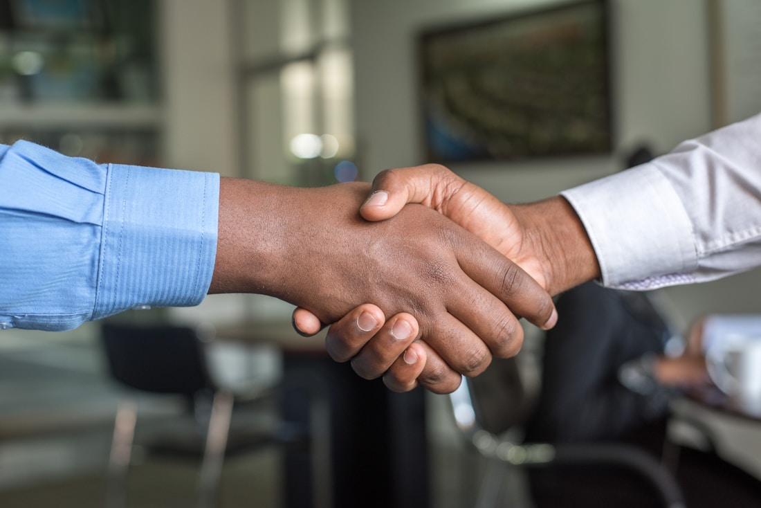 Biz-Consultation experience